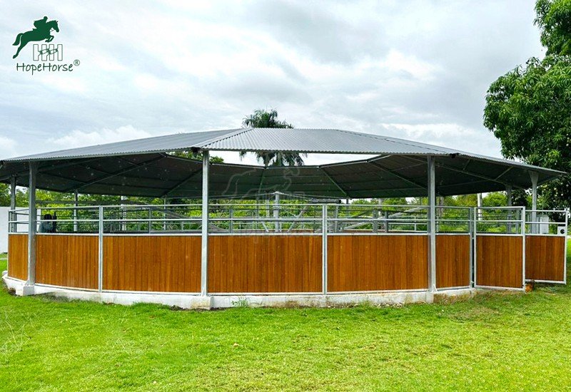 horse training machine